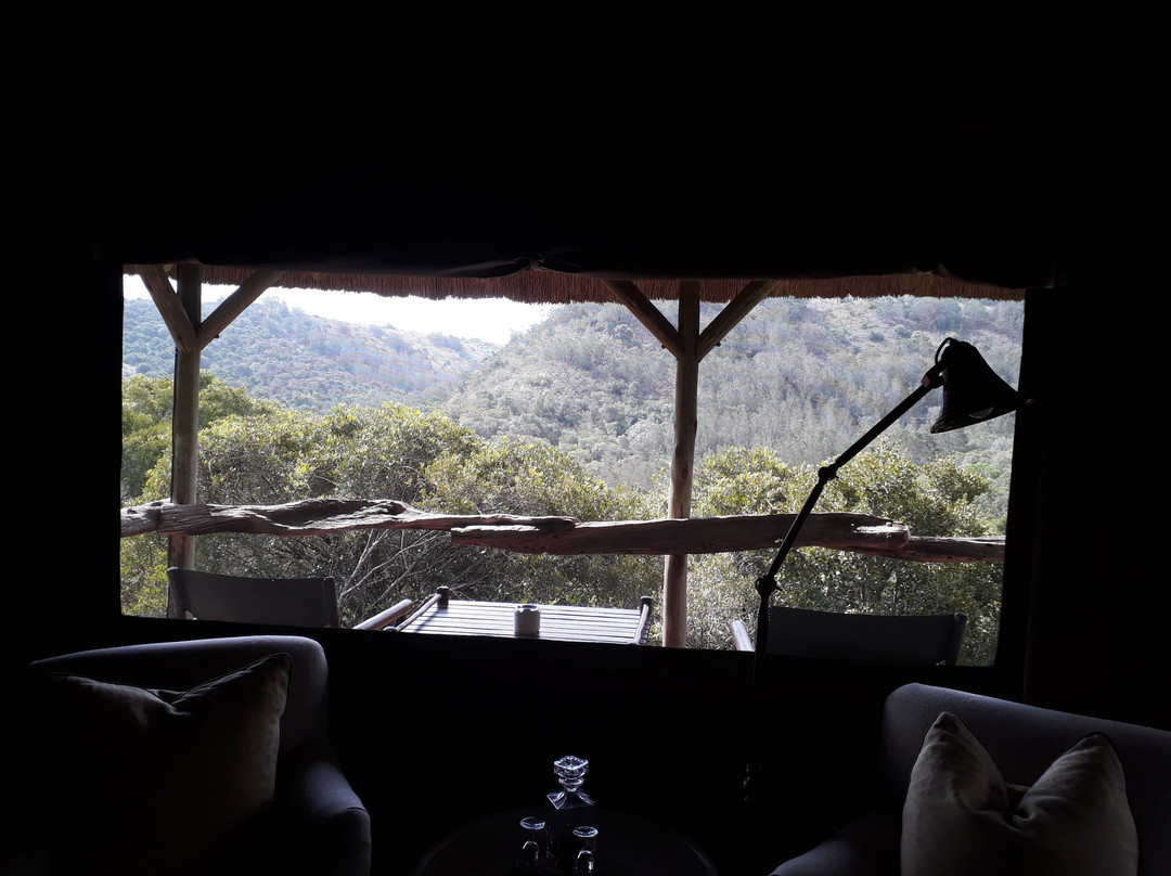 Lalibela Wildlife Reserve主图