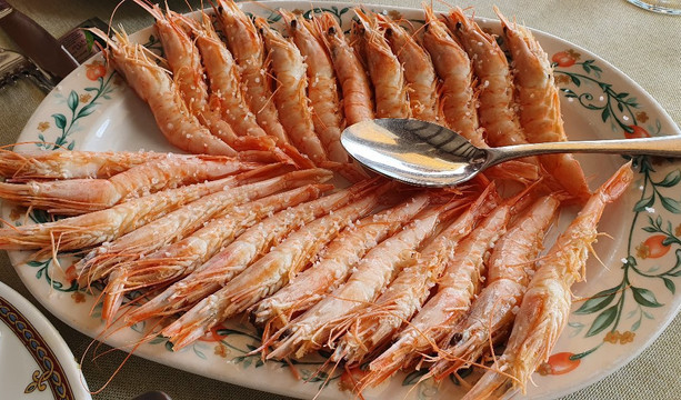 Toruno Del Rocio主图