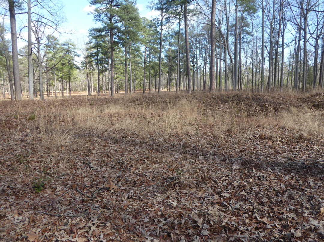 Cold Harbor Battlefield Park-Mechanicsville必去景点