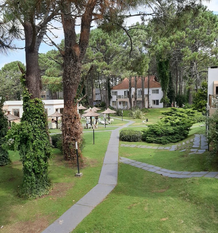 Del Pinar Apart主图