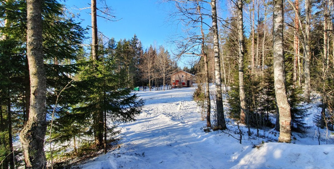 Arctic Village景点图片