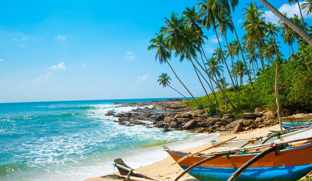 Dhanusha Tours and Travels