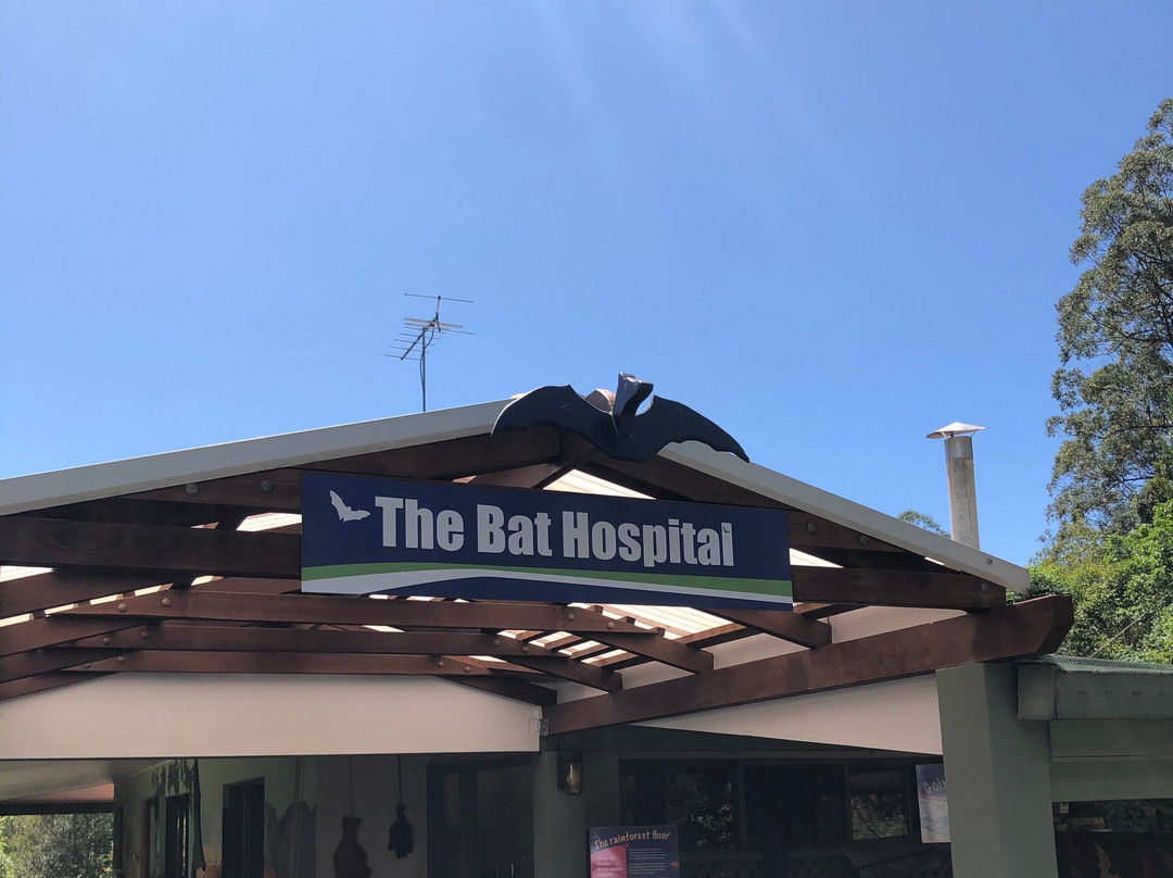 The Bat Hospital Visitor Centre景点图片