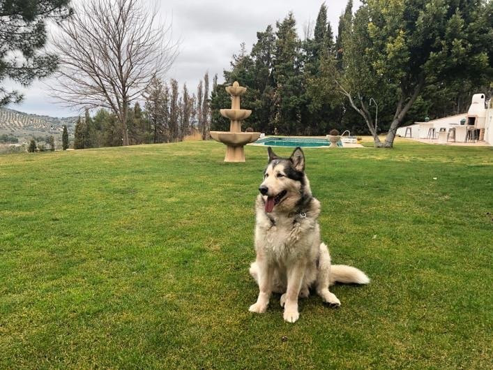 El Cigarral del Pintor主图