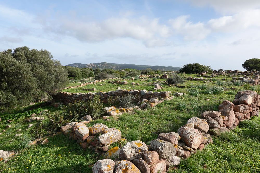 Parco Archeologico di Monte Sirai-Carbonia必去景点