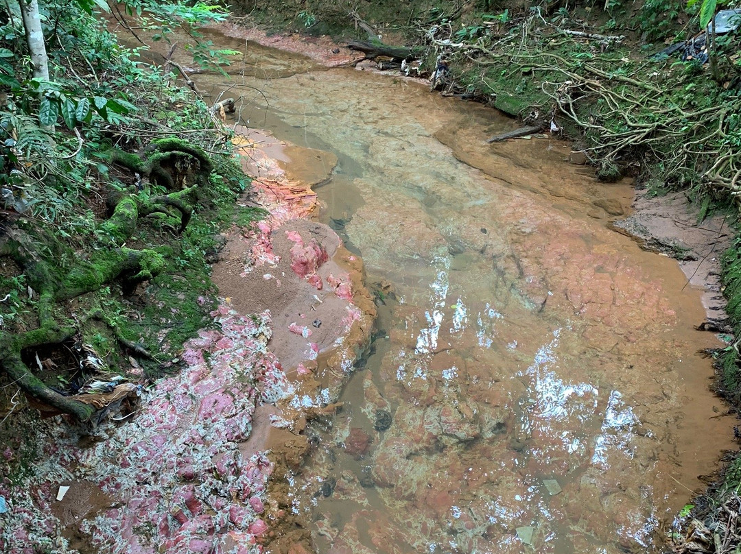 Parque Botanico-Ariquemes必去景点