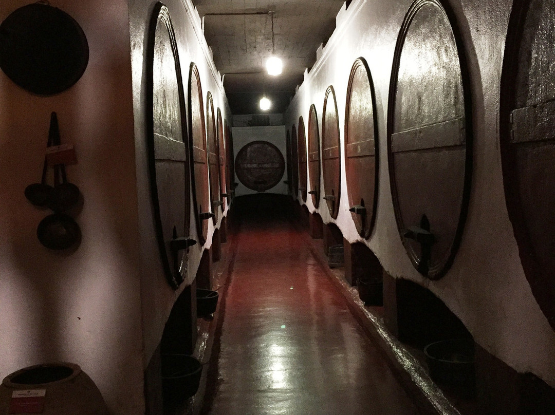 Bodegas Irache-Ayegui必去景点