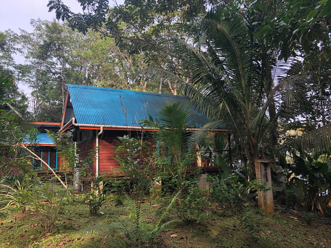 Surf Break at Paunch主图