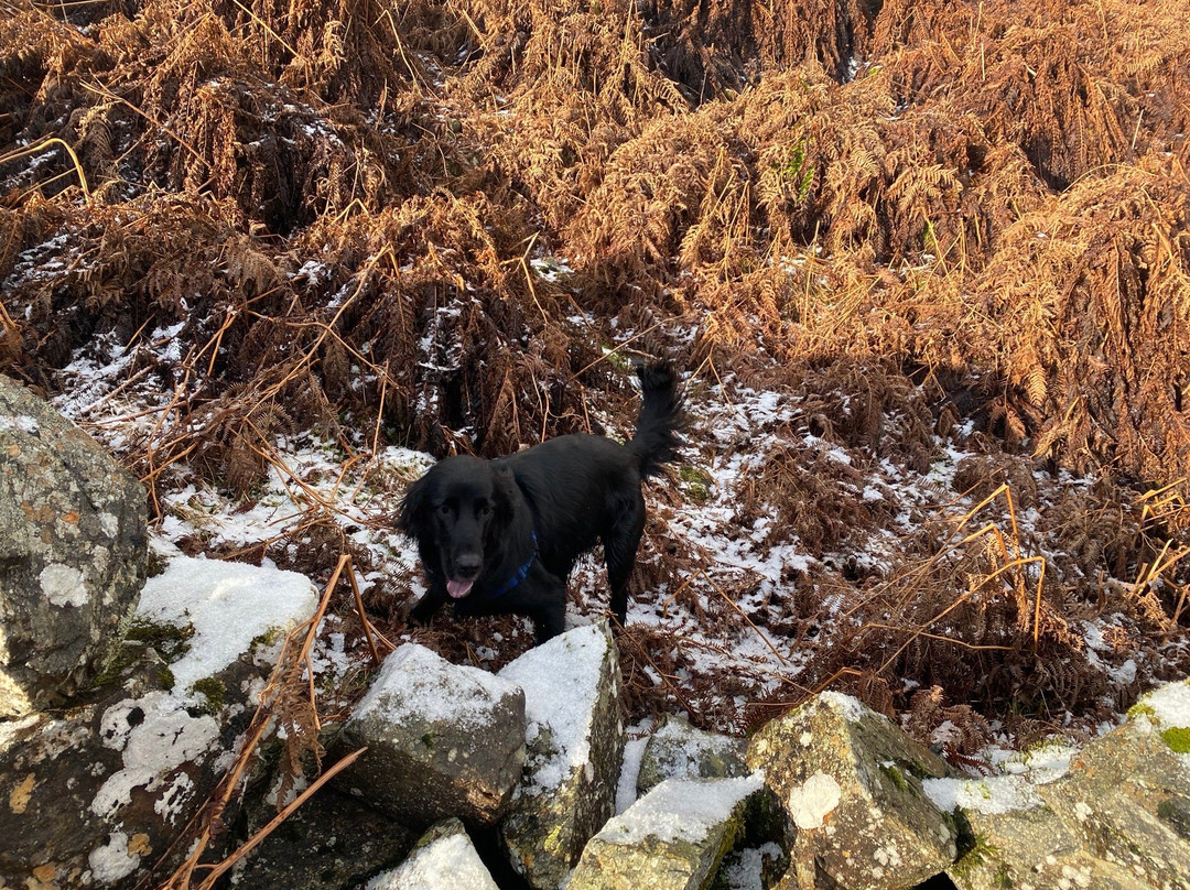 Glen Lednock Circular Walk-Comrie必去景点