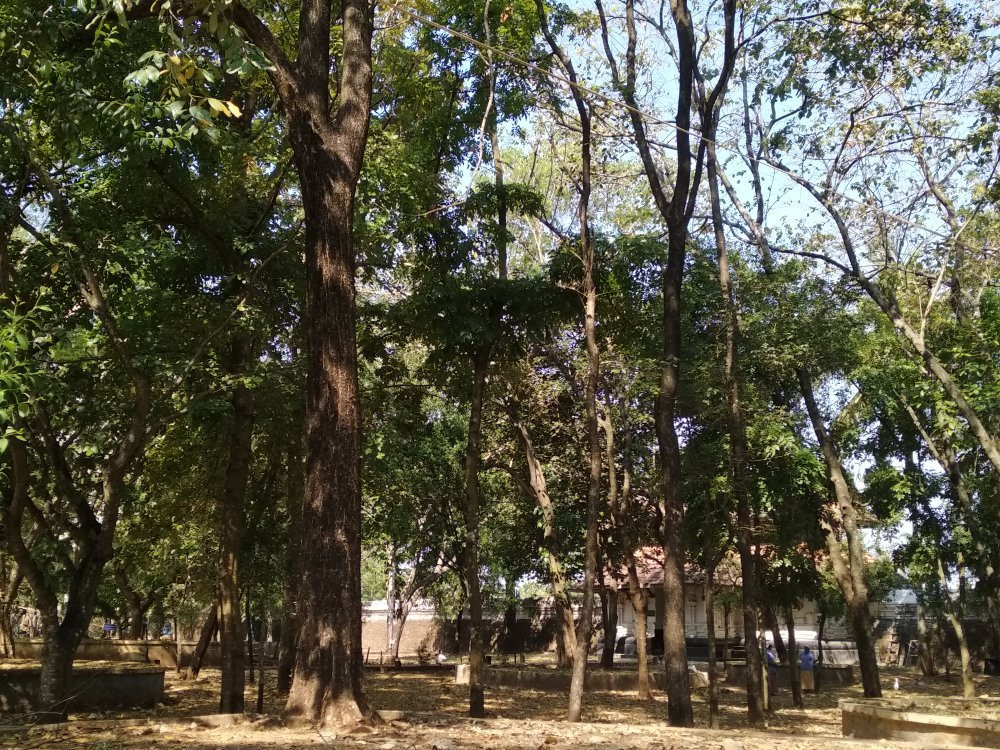 Vadakkunnathan Temple-德里久尔必去景点