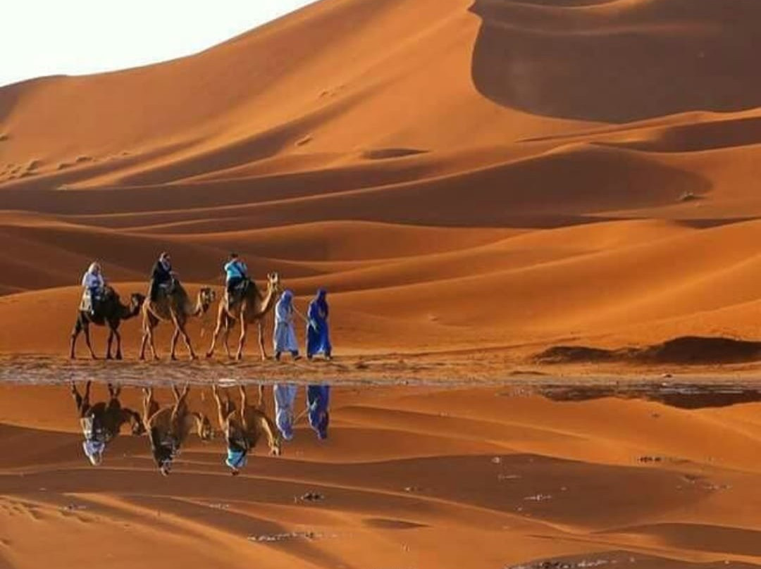 Morocco Desert Sahara景点图片