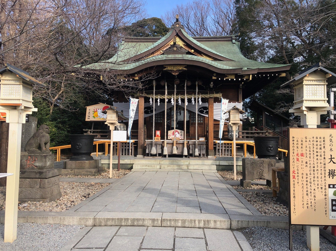 Hikawa Shrine-川口市必去景点