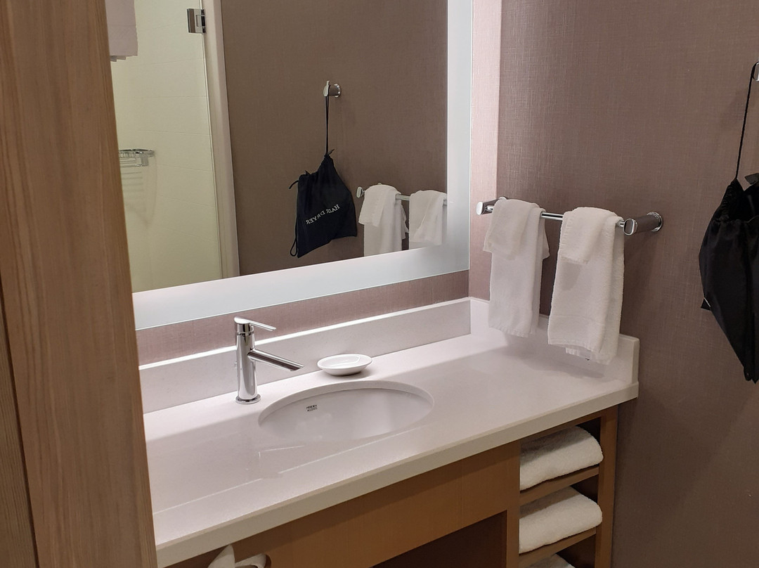 Springhill Suites by Marriott Great Falls主图