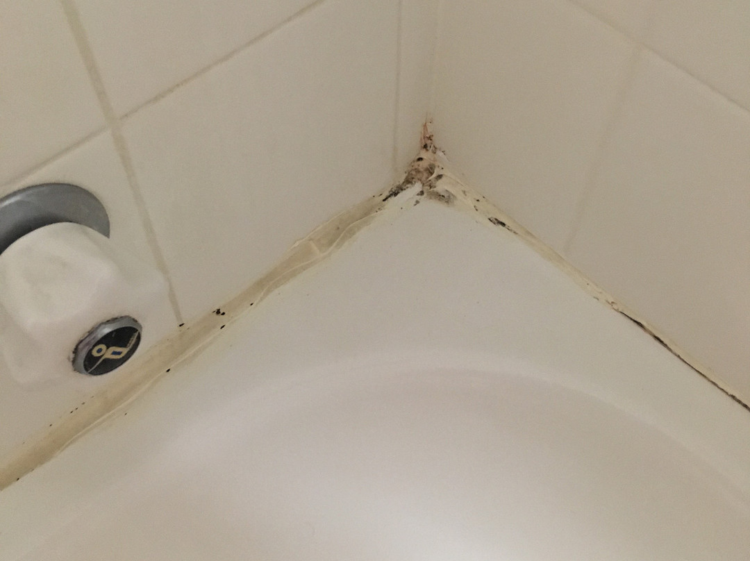 Buffalo Motor Inn主图