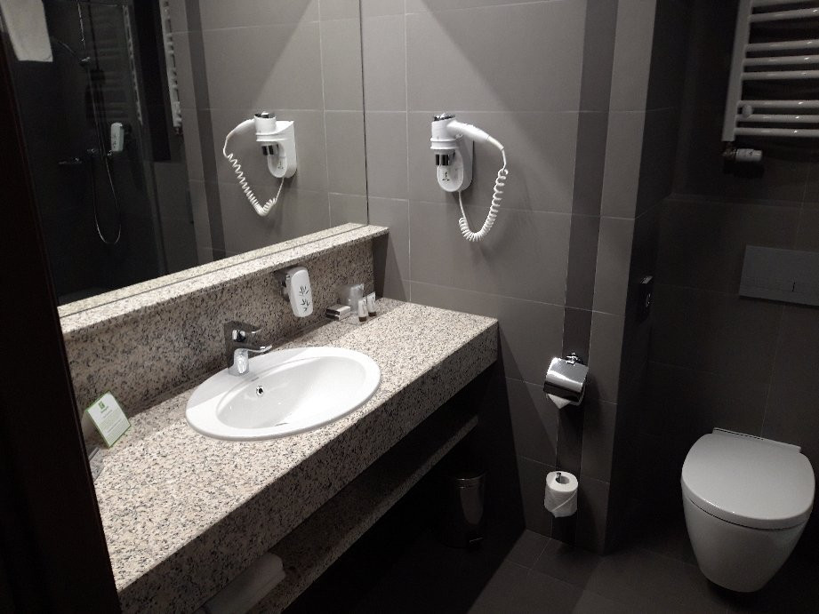 Holiday Inn Dabrowa Gornicza-Katowice by IHG主图