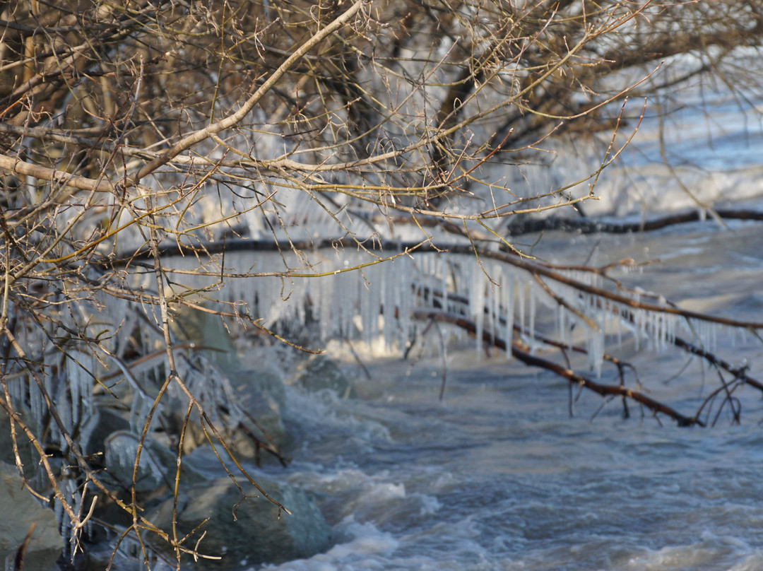 Grosse Point Lighthouse-埃文斯顿必去景点