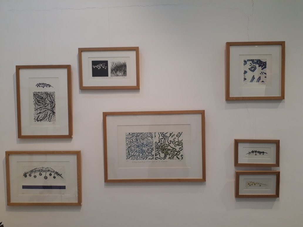 La Galeria: Tienda de Arte y Diseno-蓬塔阿雷纳斯必去景点