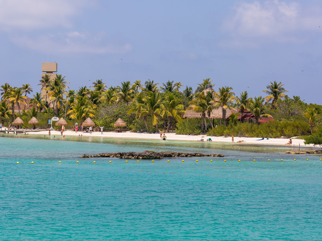 Asterix Contoy Tours-Isla Contoy必去景点