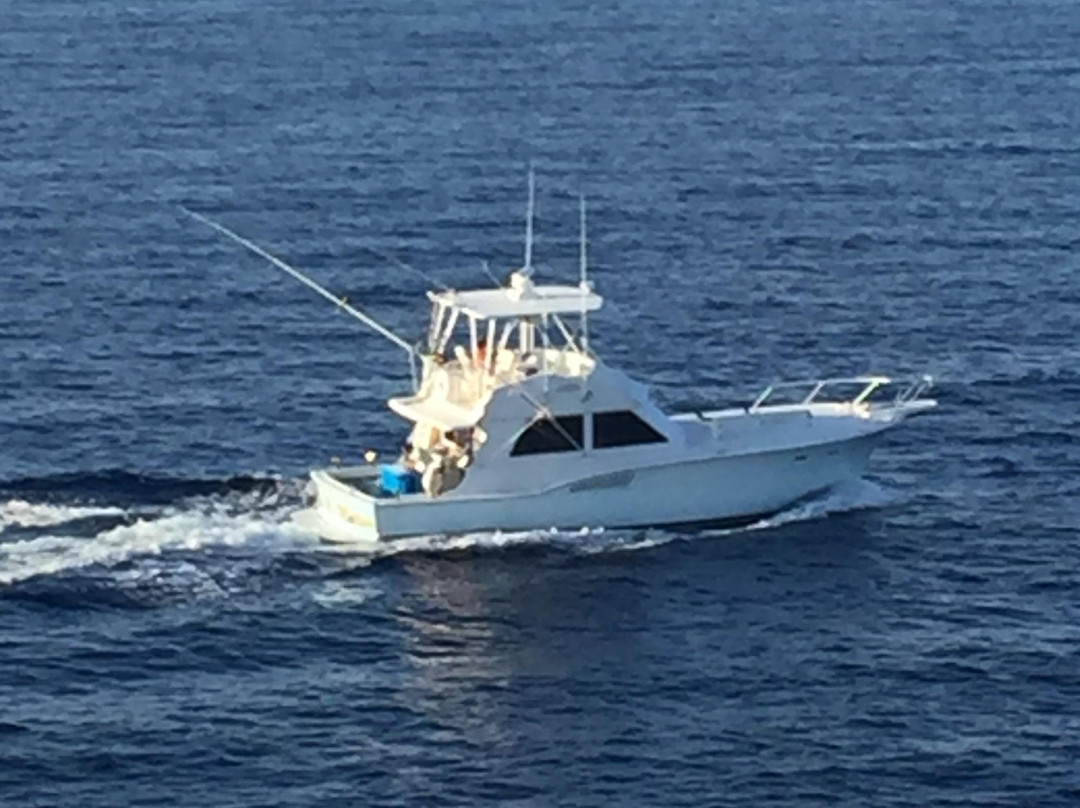 Loco-N-Motion Charters, LLC景点图片
