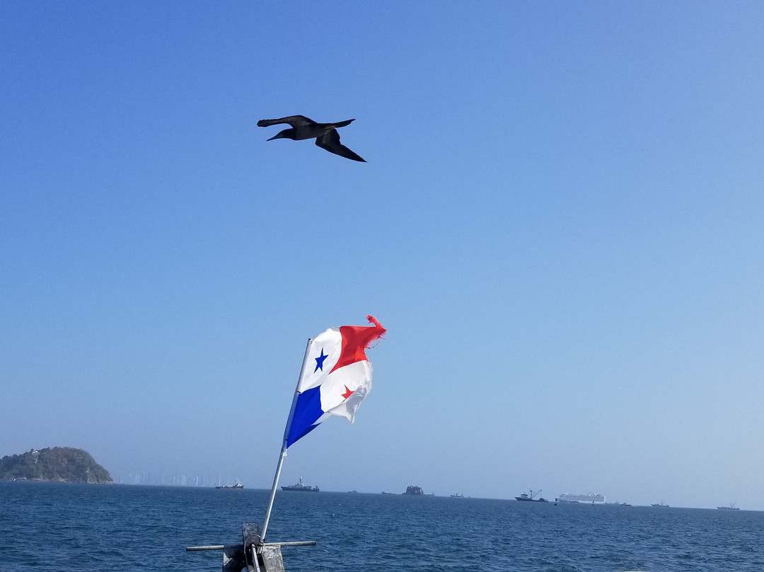 Taboga Express Fast Ferry景点图片