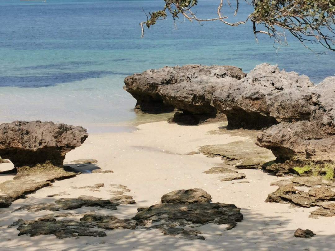 Old Settlement Beach-豪勋爵群岛必去景点