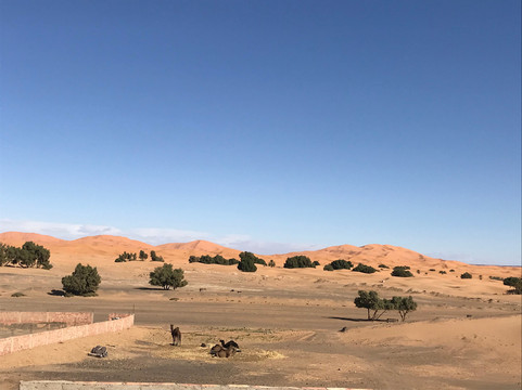 Kasbah Azalay Merzouga主图