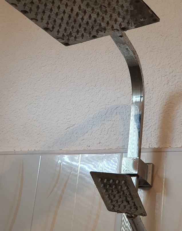 Oasey Ayurveda Hotel主图