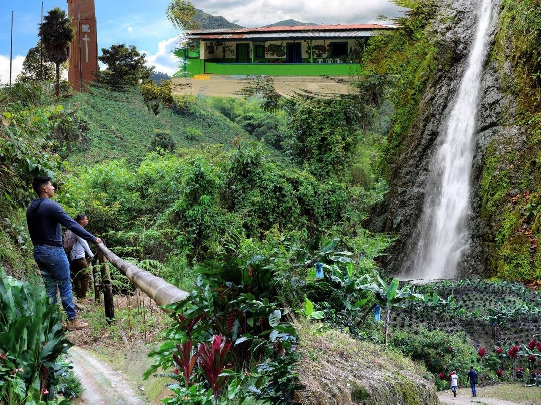 Cascada Sagrada-Pijao必去景点