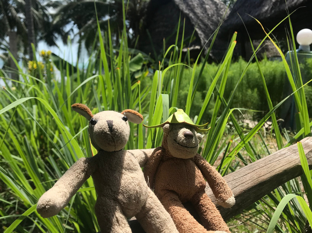 Mafia Beach Bungalows主图