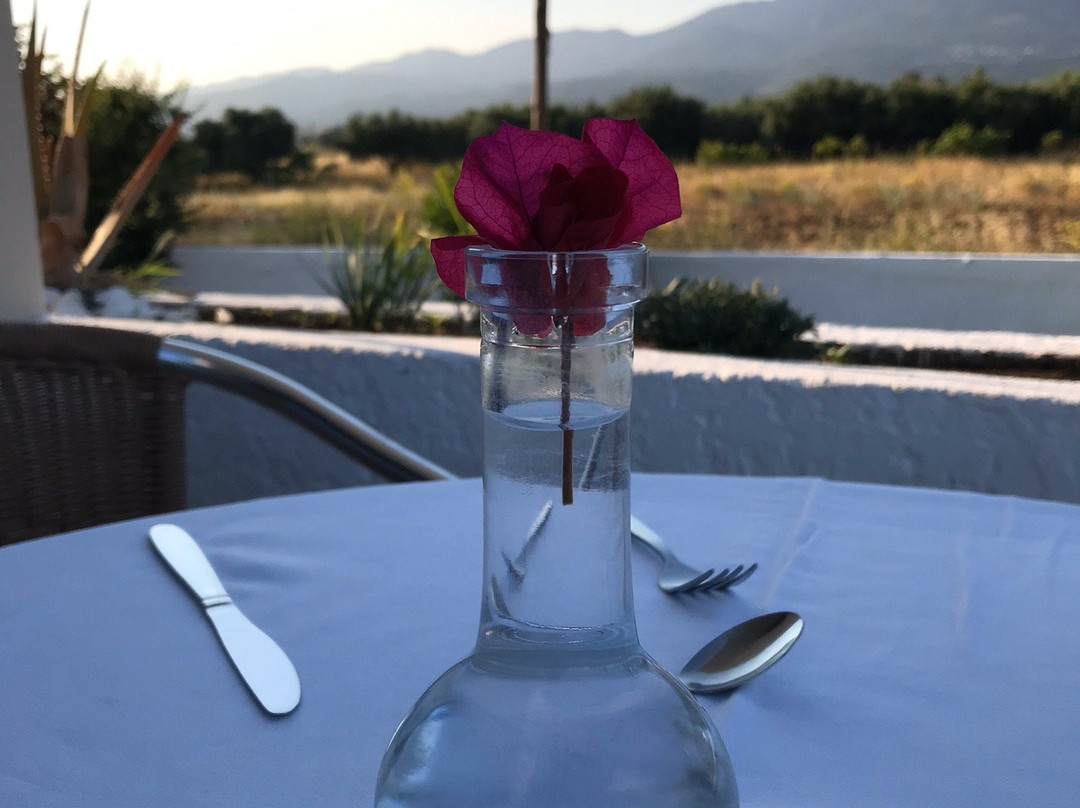 Sunset Studios and Apartments主图