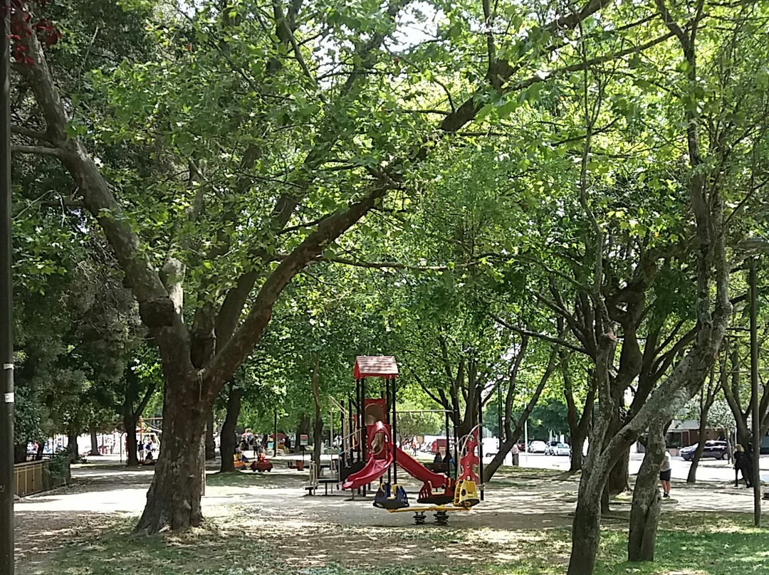 Parque Ecuador-康塞普西翁必去景点