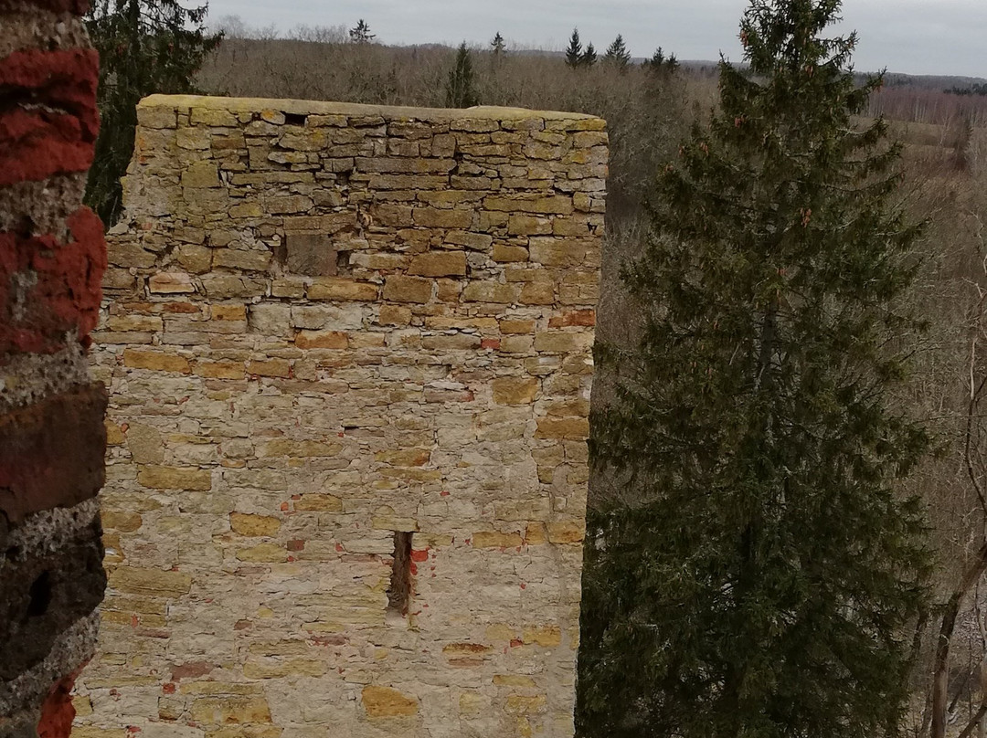 Ruins of the Vastseliina Episcopal Castle景点图片