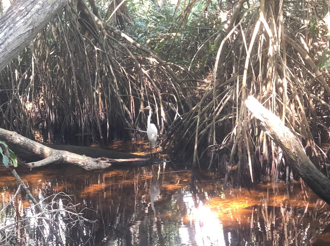 Parque Ecoturistico Jaltun-塞莱斯顿必去景点