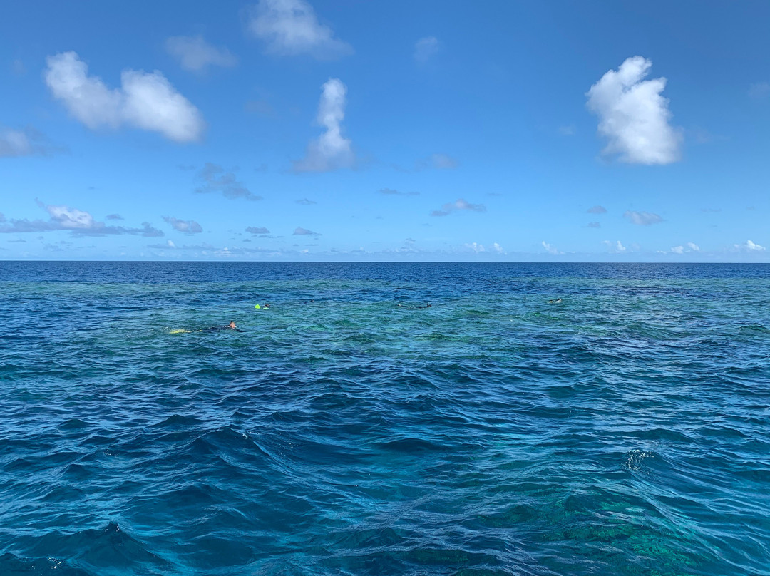 Pro Dive Magnetic Island-Nelly Bay必去景点