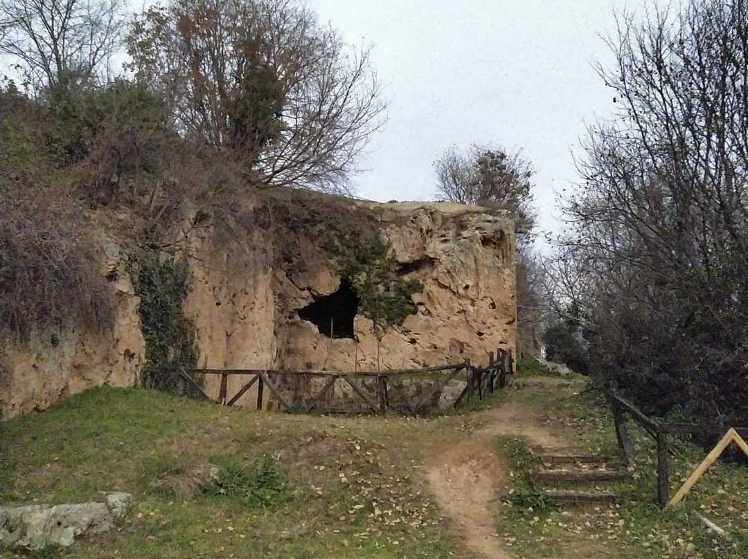 School of Aristotle-Naousa必去景点