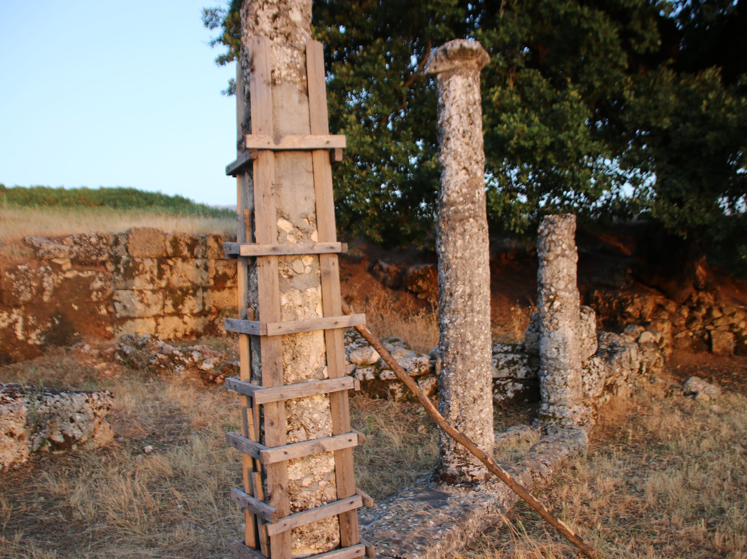 Antigonea Archaeological Park景点图片