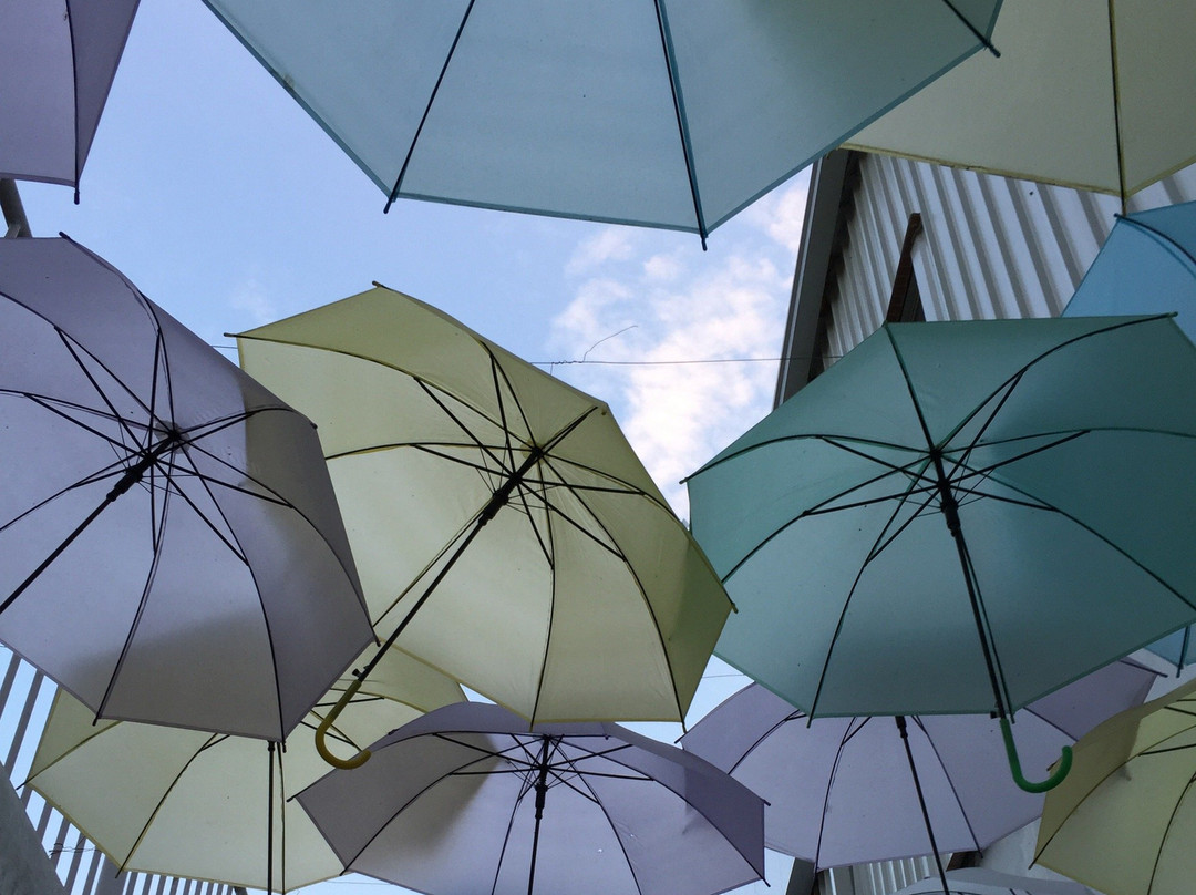 GRS Snow Park-迈索尔必去景点