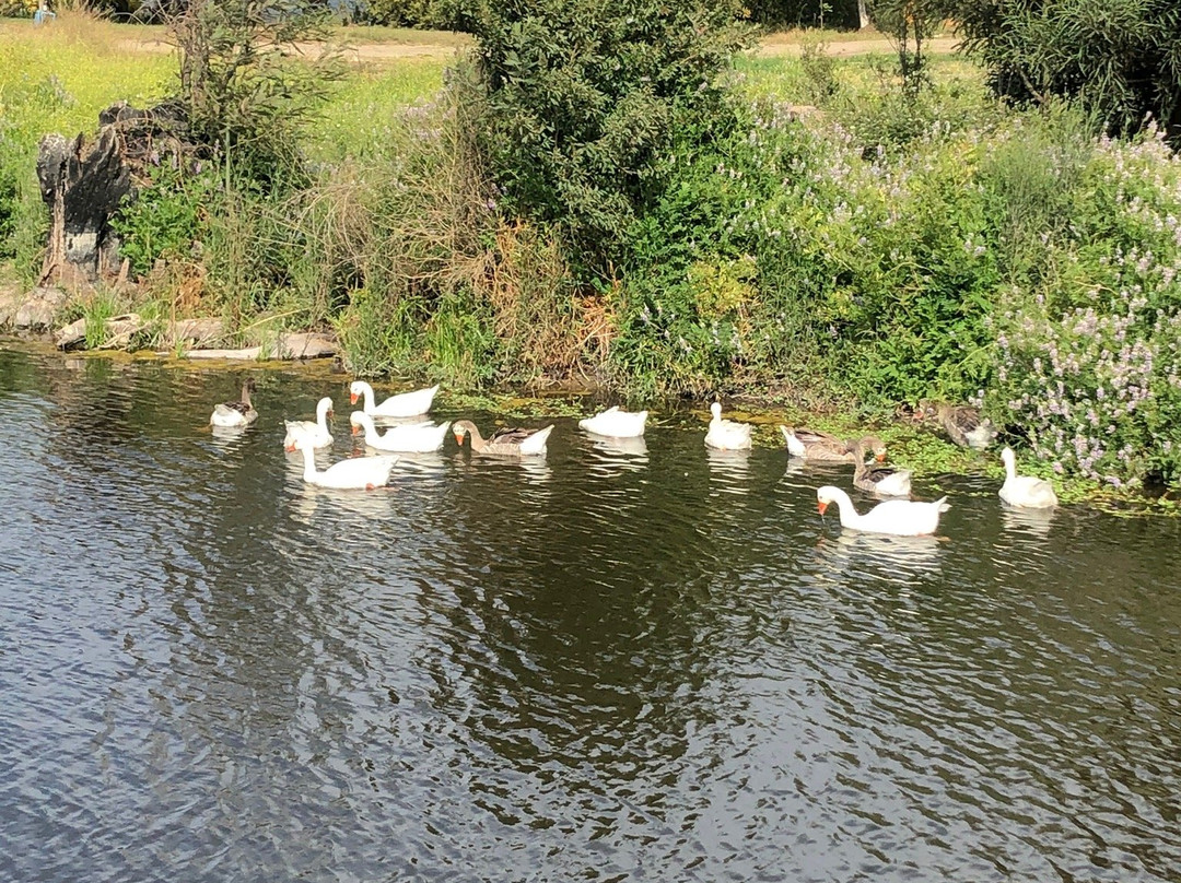 Hotel Boutique La Caballeriza主图