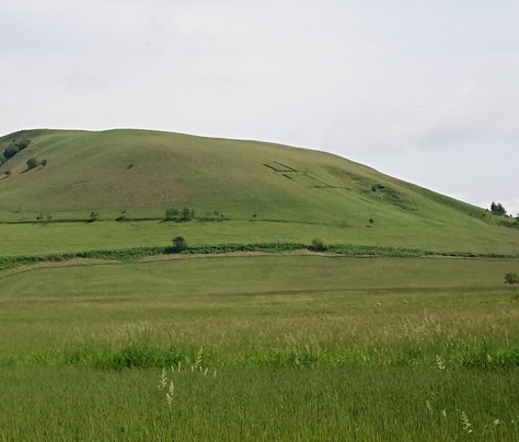 Kitanemuro Ranch Way-中标津町必去景点