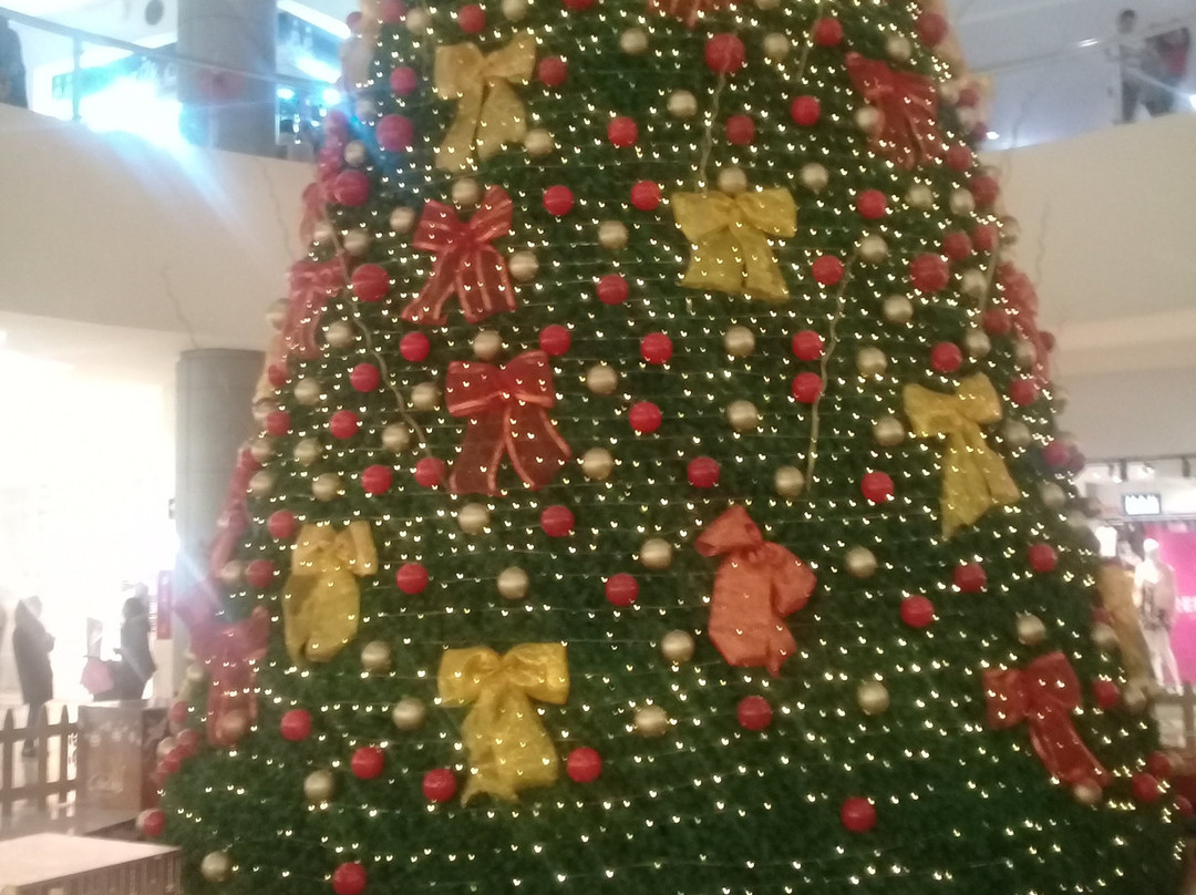 Plaza Cibeles景点图片