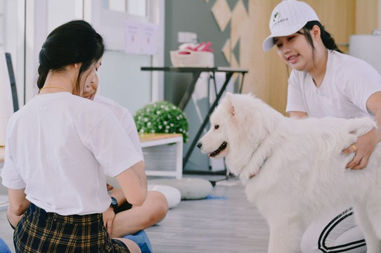 Bla Bla Boo-挽巴茵必去景点