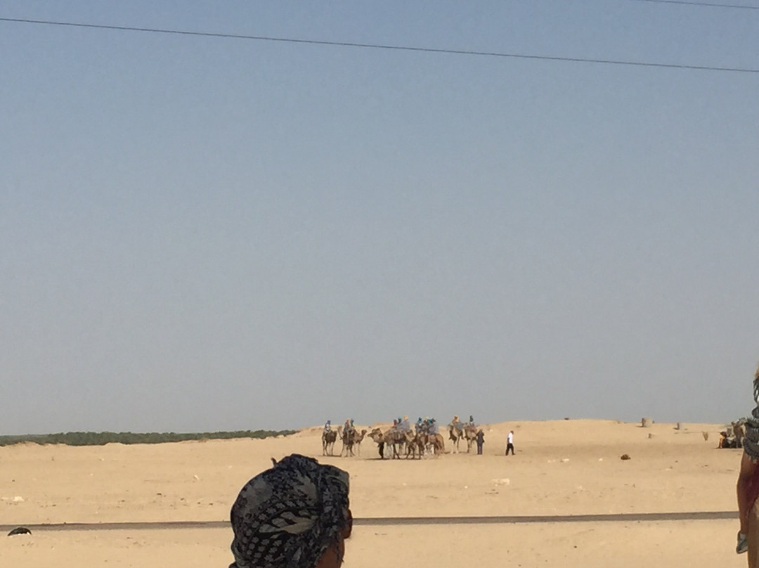 Silence Du Desert-杜兹必去景点