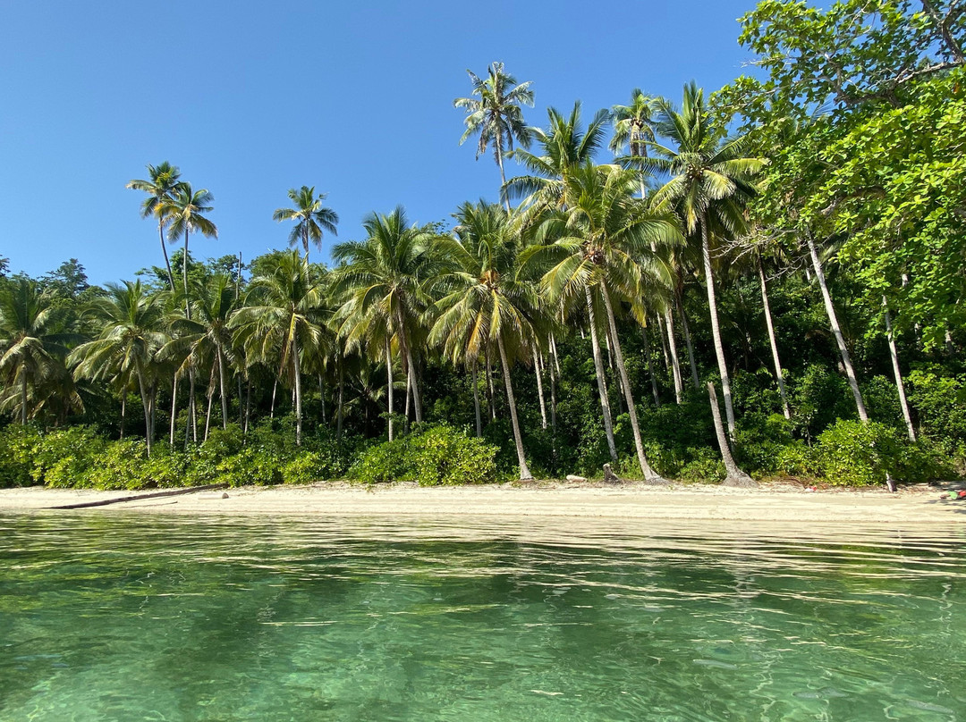 Black Marlin Dive Resort主图