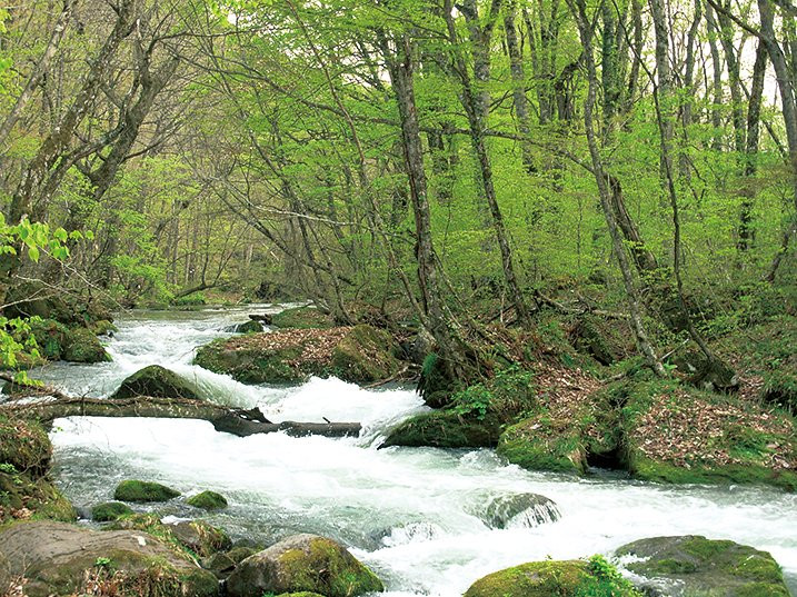 Towada-Hachimantai National Park-十和田市必去景点