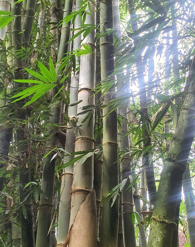 Tam-Awan Village-碧瑶必去景点