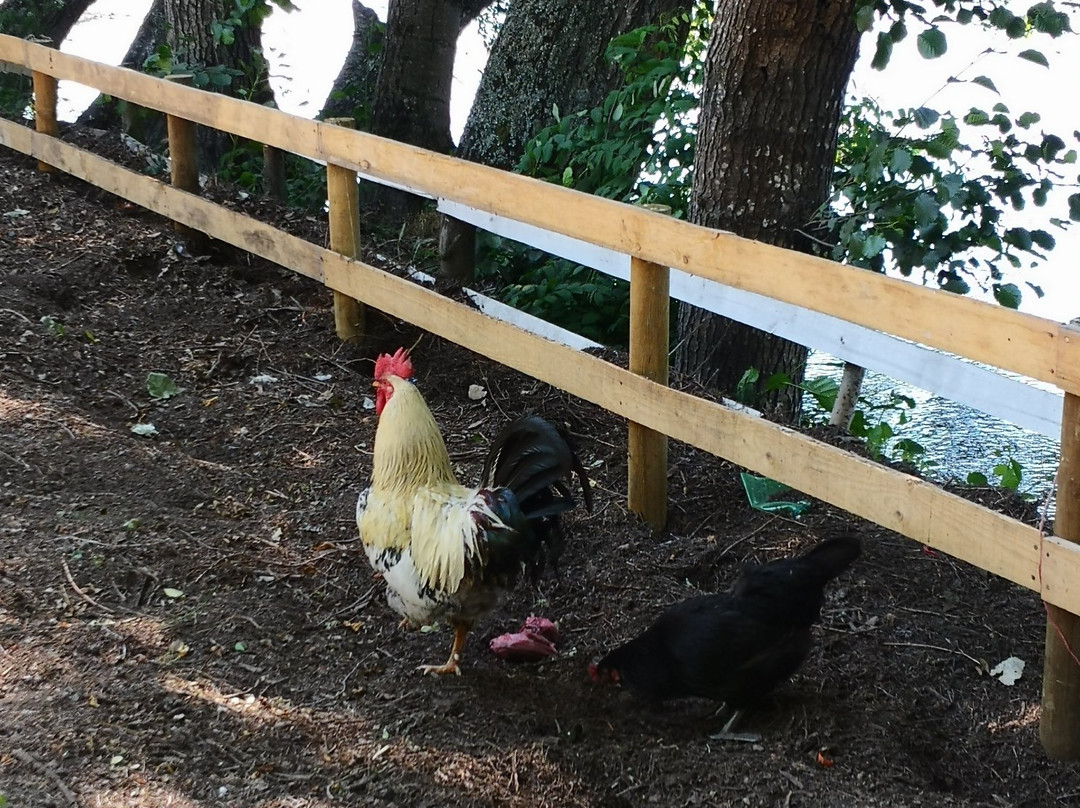 Saltos del Laja-Los Angeles必去景点