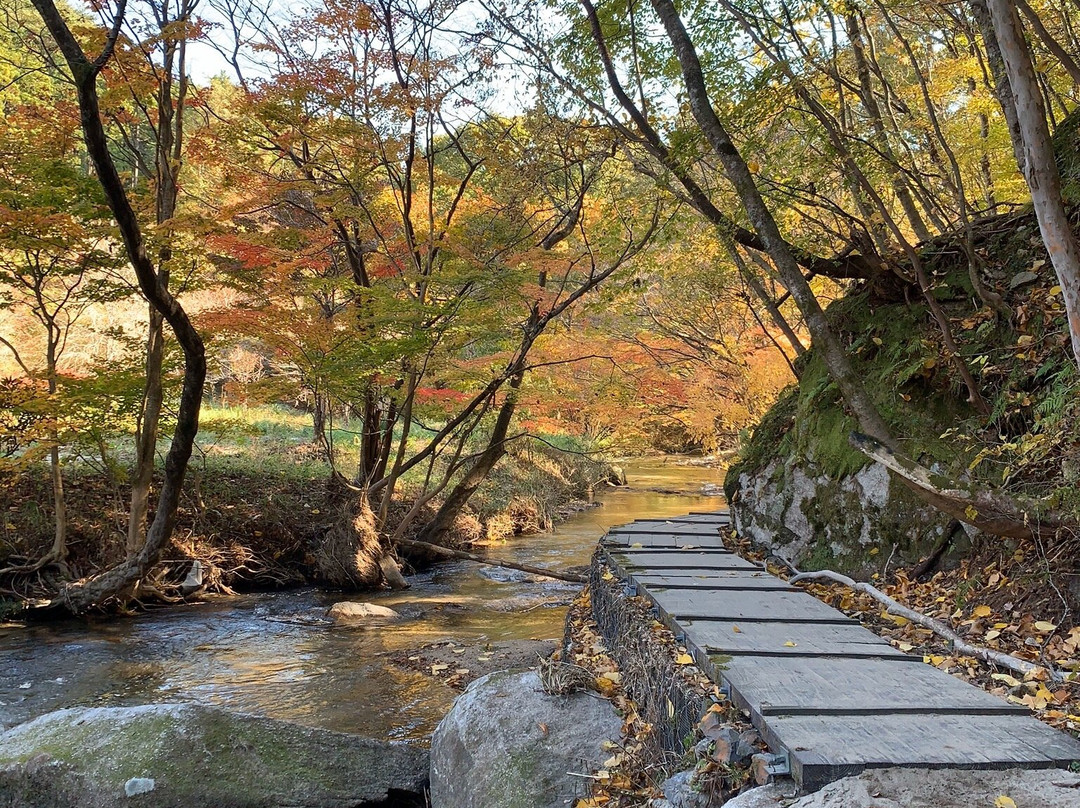 Takigawa Valley-矢祭町必去景点