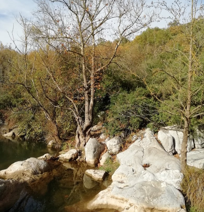 Ballikayalar Tabiat Parki-Gebze必去景点