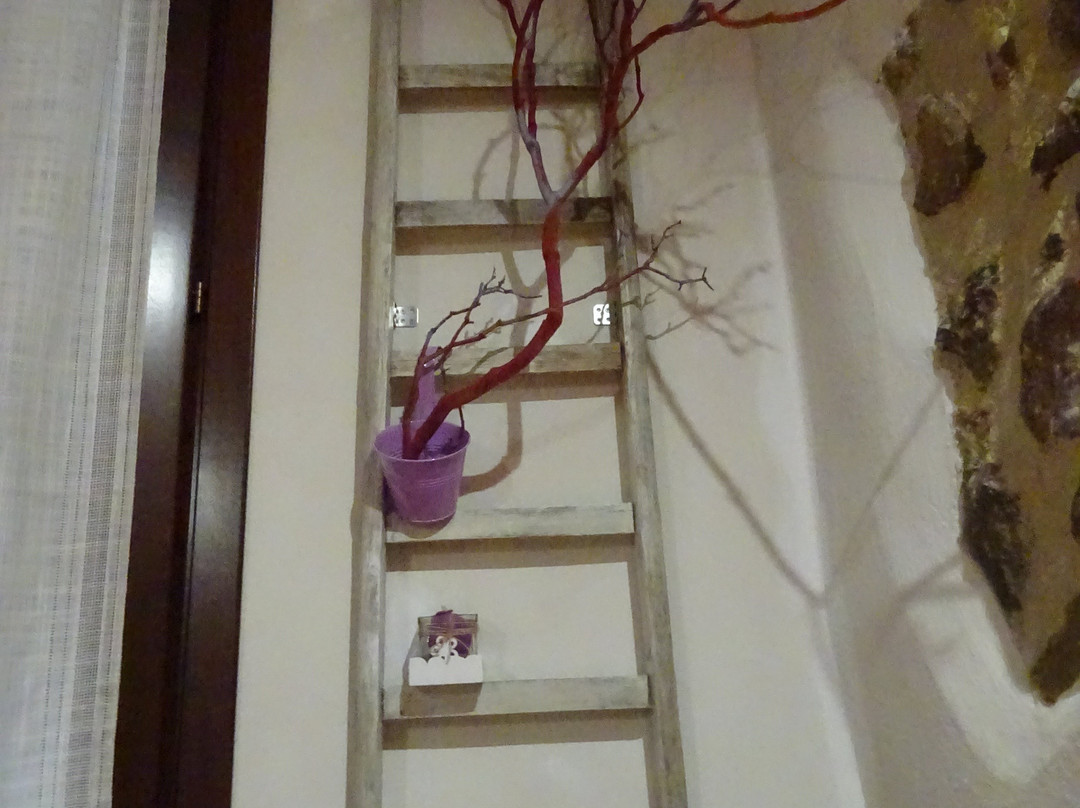 B&B Polvere Di Stelle主图