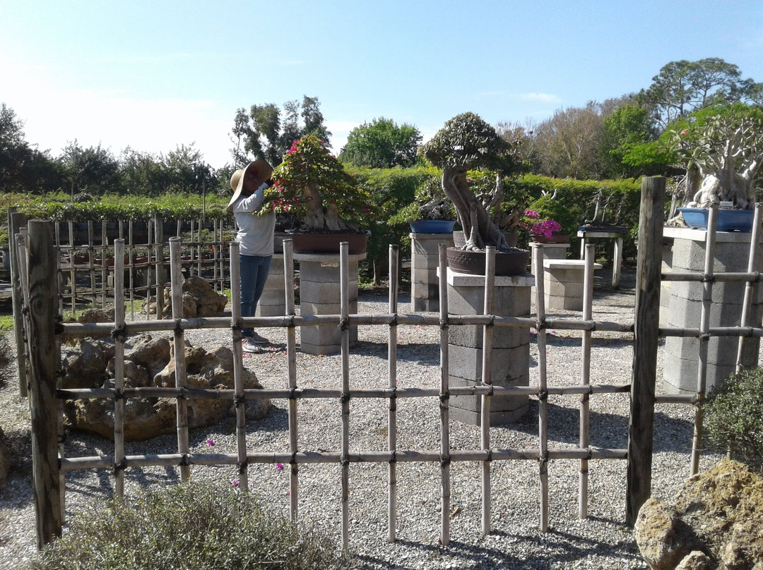 Wigert's Bonsai-North Fort Myers必去景点